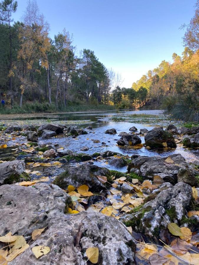 Casa Rural Las Nogueras Caserio Arroyofrio Eksteriør billede